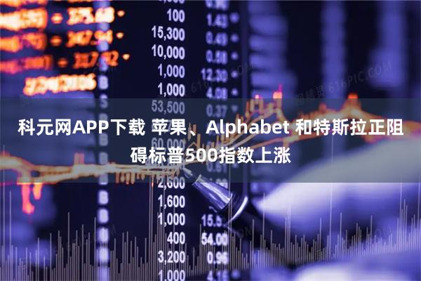 科元网APP下载 苹果、Alphabet 和特斯拉正阻碍标普500指数上涨