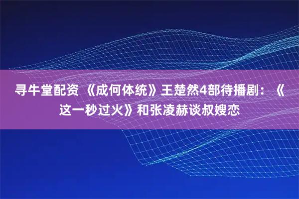 寻牛堂配资 《成何体统》王楚然4部待播剧：《这一秒过火》和张凌赫谈叔嫂恋