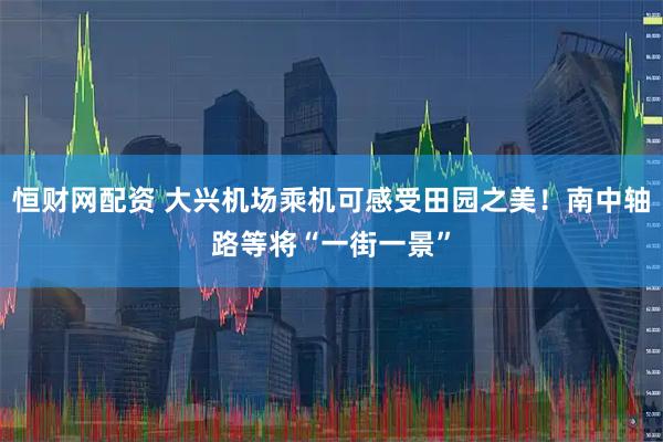 恒财网配资 大兴机场乘机可感受田园之美！南中轴路等将“一街一景”