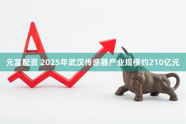 元富配资 2025年武汉传感器产业规模约210亿元